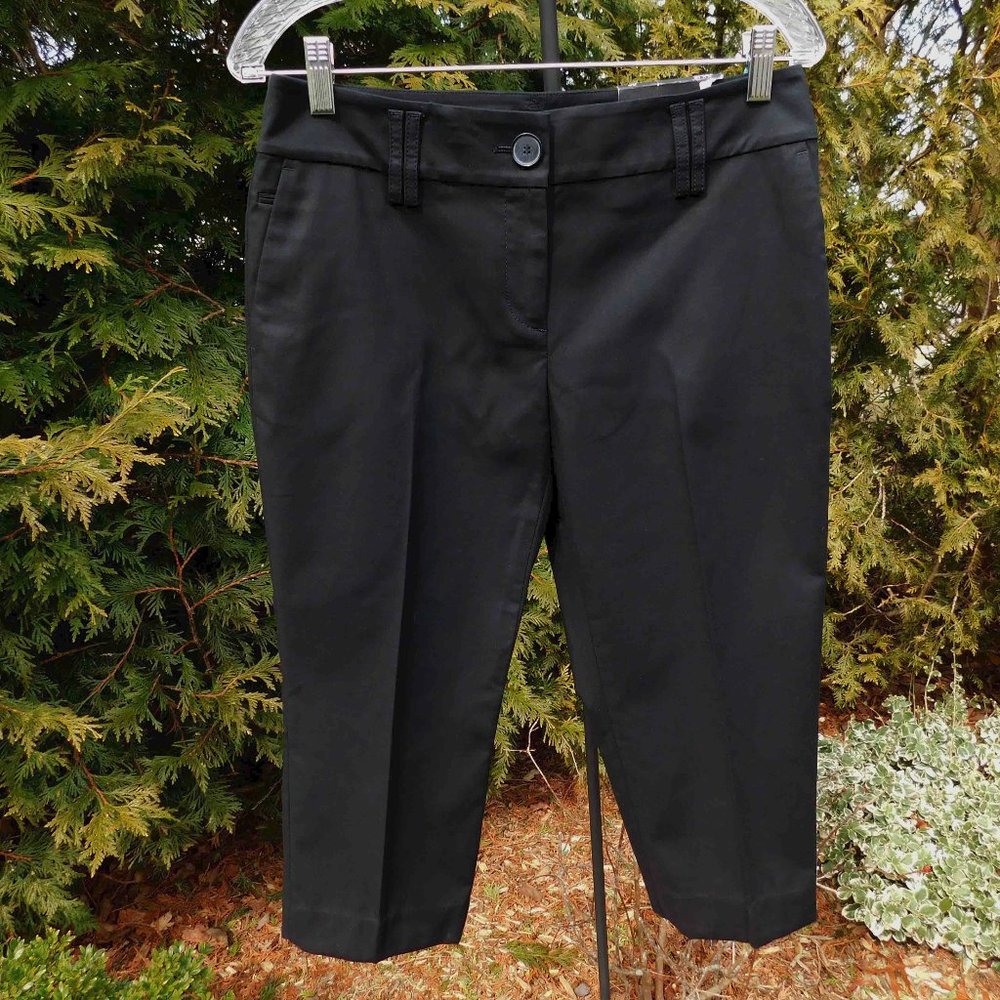 Loft Petites Julie Curvy Stretch Crop Pants NWT